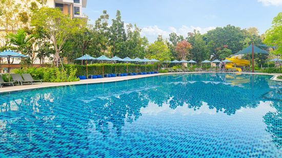 SPLASH Swimming Pool - Main Pool